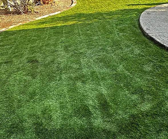artificial turf in phoenix backyard after professional turf cleaning service