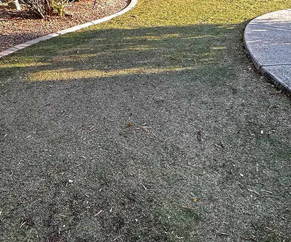 artificial turf before cleaning in phoenix backyard